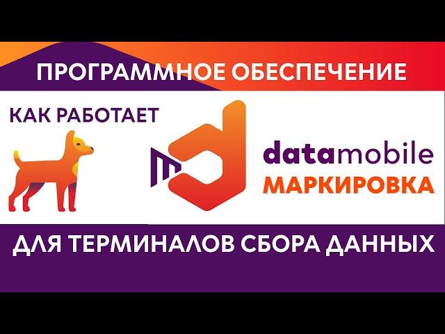 DataMobile Маркировка