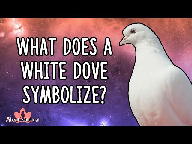 What Does a White Dove Symbolize?