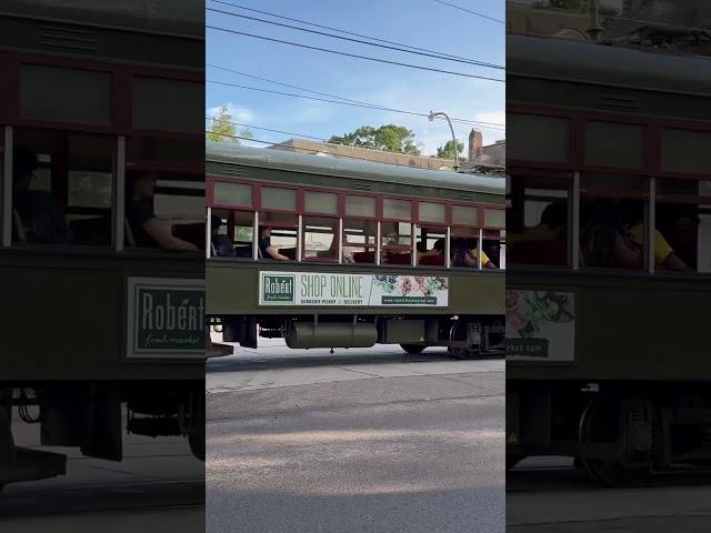 Street cruises down St Charles Ave in Uptown New Orleans #neworleans #streetcars #trolley #train