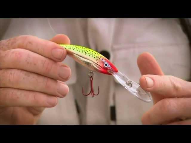 Rapala Deep Tail Dancer 7cm