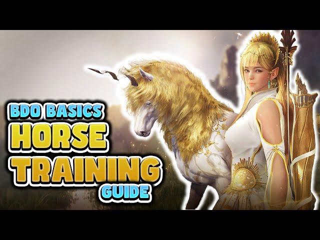 2024 Horse Training Guide for Black Desert Online | BDO Basics