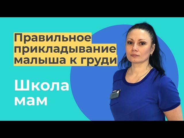 Грудное вскармливание: правильное прикладывание малыша к груди / Наталья Харитонович