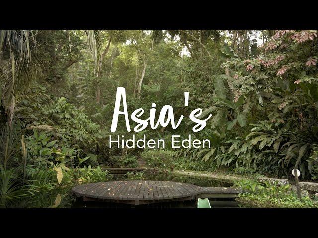 Asia's HIDDEN EDEN - Relaxing Rainforest Sanctuary at the Tropical Spice Garden (Penang)