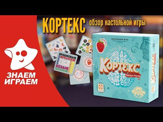 Настольная игра Кортекс. Обзор от Знаем Играем