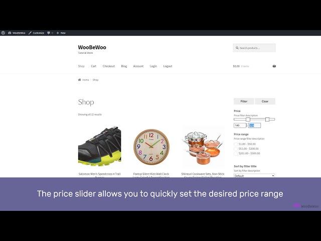 WooCommerce Product Filter plugin by WooBeWoo