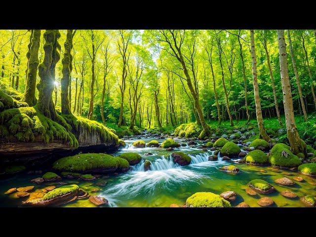 Beautiful Relaxing Music - Stop Overthinking, Stress Relief Music, Sleep Music, Calming Music #294