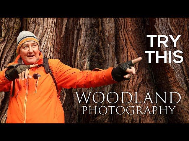 Woodland Photography TRY THIS