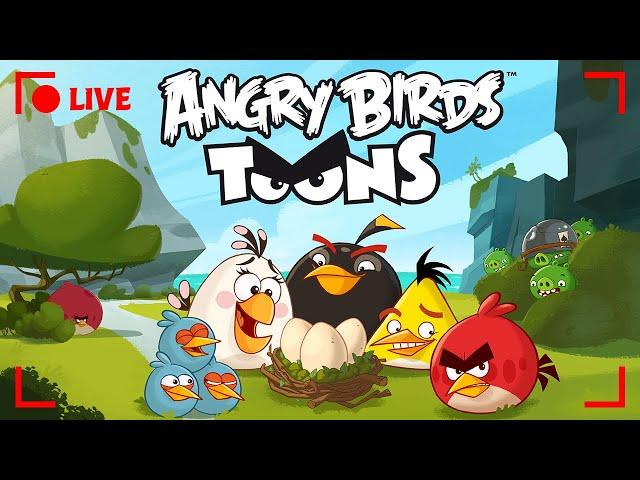  LIVE Angry Birds Party | Toons Season 1 All Episodes