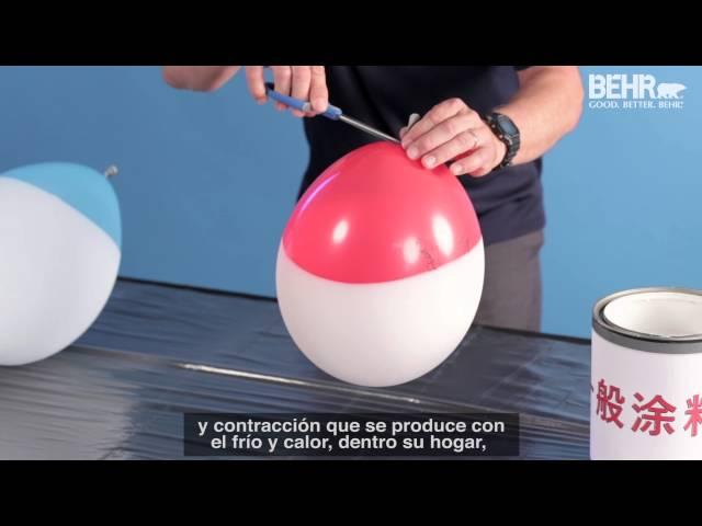 BEHR PREMIUM PLUS®, la pintura más flexible y de mayor adhesión del mercado chileno