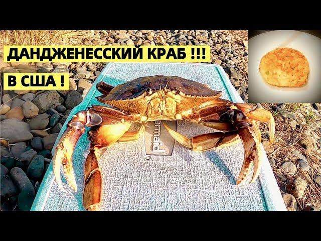 КРАБАЛКА НА САМЫЙ ВКУСНЫЙ КРАБ В США ! РЕЦЕПТ КОТЛЕТ ИЗ КРАБОВ. DUNGENESS CRAB.