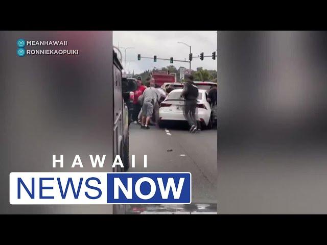 GRAPHIC: Violent arrest of auto theft suspect in Kaneohe caught on camera