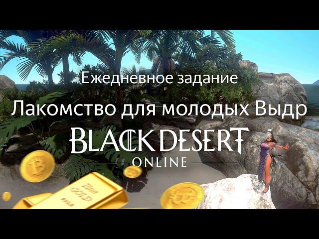 Задание Лакомство для молодых Выдр | Black Desert Online Морской контент