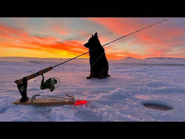 Ripping Walleye's / Perch On Tip Up's With CLEAR Underwater Footage