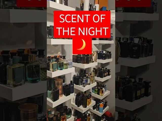 Scent of the Night!  #cologne #parfum #perfume