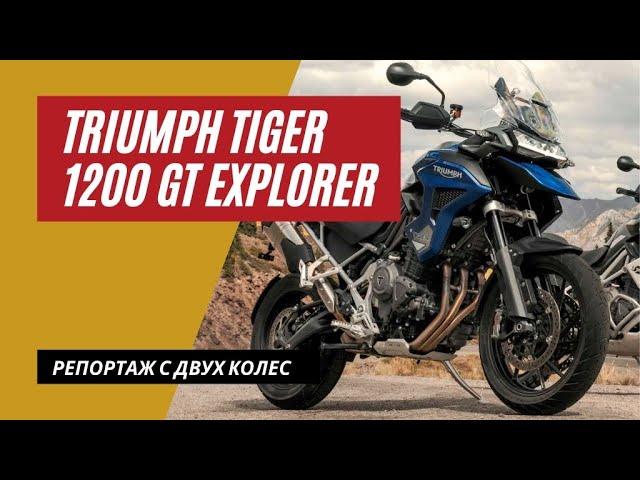 Triumph Tiger 1200 GT Explorer 2022 | Цель - поджарить Гуся | Мотоциклы для Взрослых 