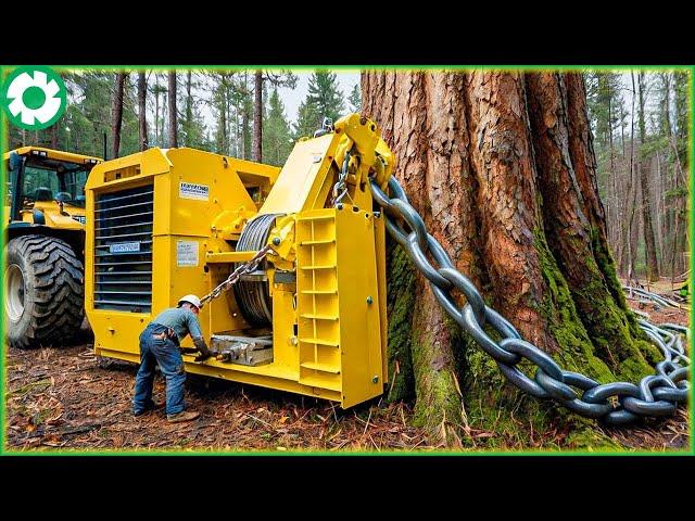 Most Big Chainsaw Cutting Tree Machines | Biggest Heavy Equipment Machines