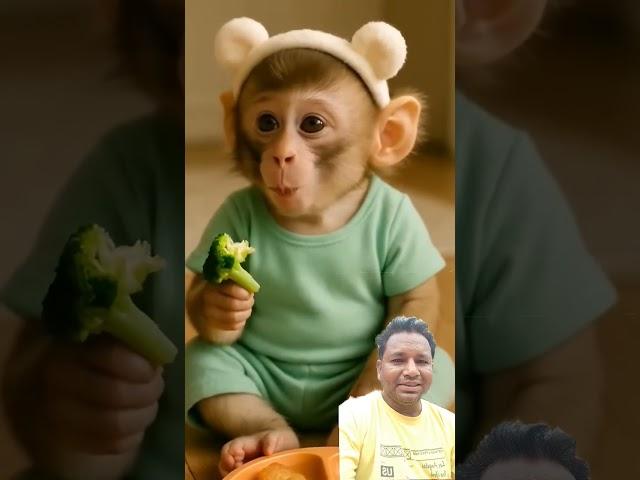 #cute #monkey #animals #youtubeshorts