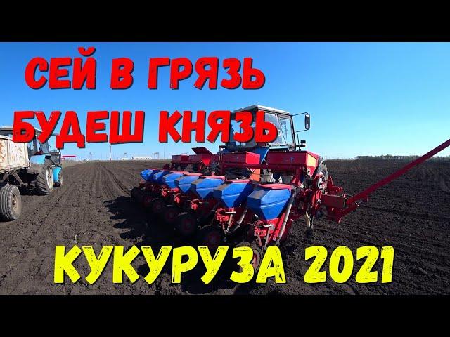 #кукурузарастение#сеемкукурузу2021#кукуруза.Сев кукурузы 2021/Сеялка точного высева ТСМ-4150 а.