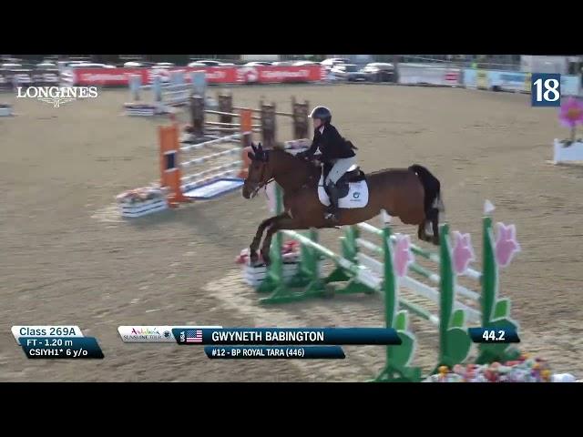 BP Royal Tara - Sunshine Tour - CSIYH 6yo