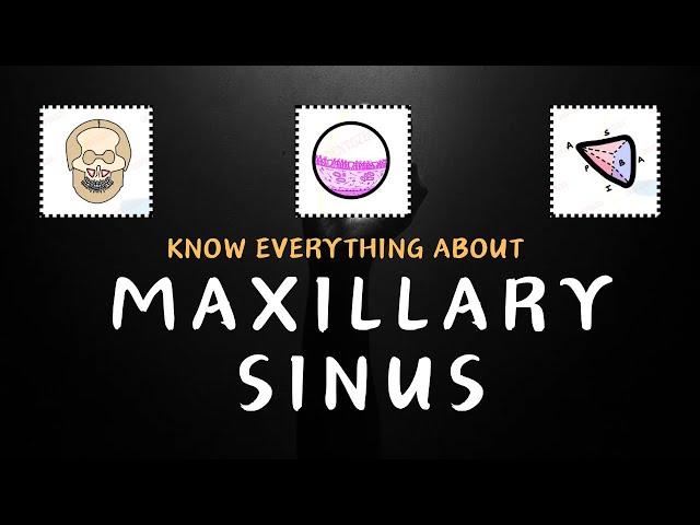 Space inside your Maxilla: Know everything about Maxillary Sinus