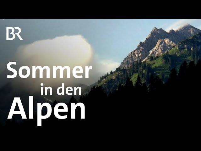 Alpine Jahreszeiten: Der Bergsommer in den Allgäuer Alpen | Bergauf-Bergab | BR