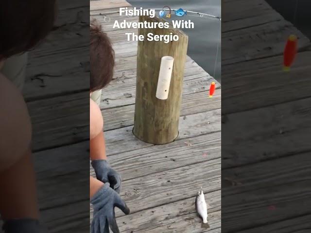 Fishing With The Sergio 