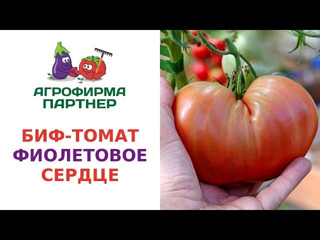 БИФ-ТОМАТ ФИОЛЕТОВОЕ СЕРДЦЕ