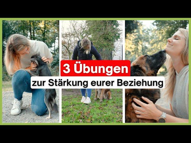 Diese 3 Übungen stärken die Beziehung zu deinem Hund