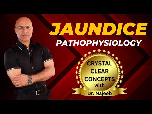 Pathophysiology Of Jaundice | Dr Najeeb Lectures