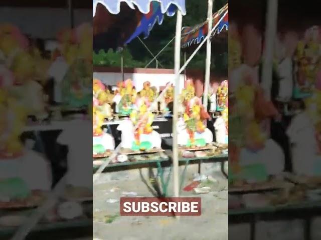 YERNIMAMBA FESTIVAL | Choti Family Telugu #shorts  #shortvideo  #shortsfeed