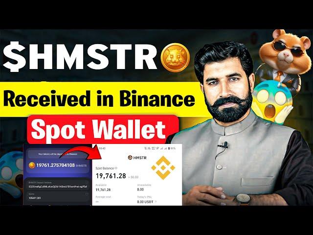 Hamster Tokens Received in Binance Spot Wallet | Hamster Kombat Airdrop Update | $HMSTR | Albarizon