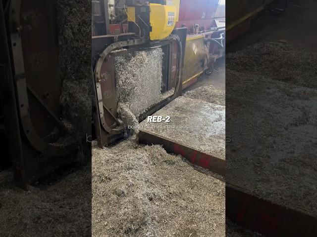 REB-2 Baling Aluminum Shred for a New Beginning ️