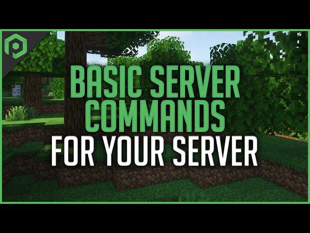 Basic Server Commands for Your Server!