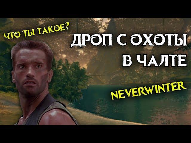 Охота в Чалте | Модуль 12. Neverwinter Online