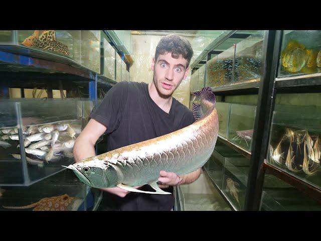 *LARGEST* Aquarium Fish Exporter!! (CRAZY) 800+ Species in South America