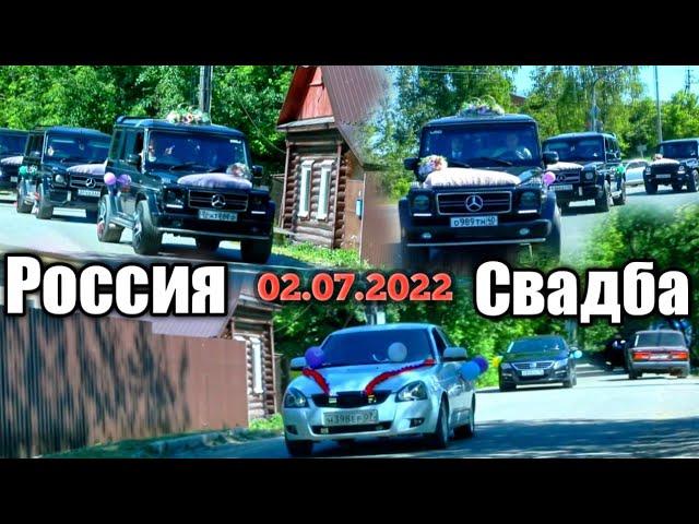 Туй дар Россия Гелики 2.7.2022