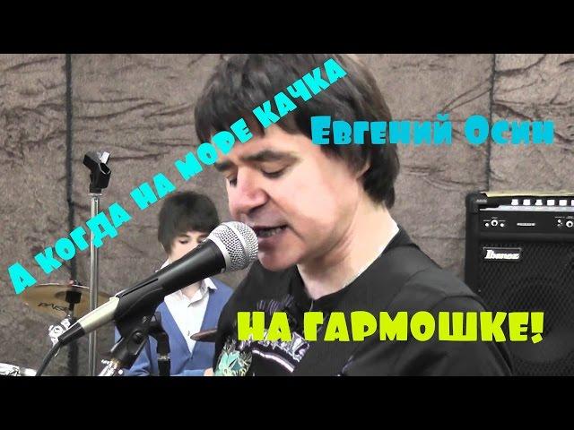 ИГРА НА ГАРМОНИ. Евгений Осин - А когда на море качка.