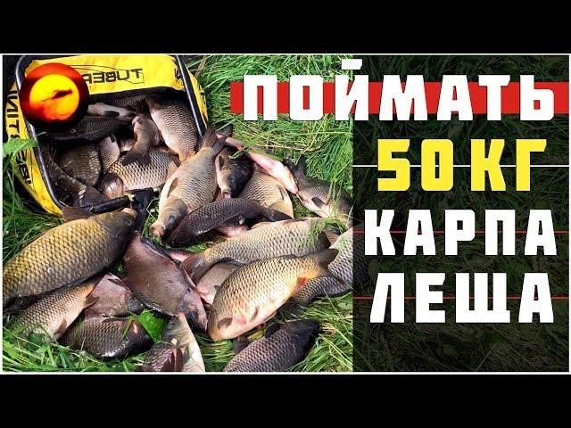 Поймать 50 кг карпа и леща / Рыбалка с ночевкой / Ловля на один крючок