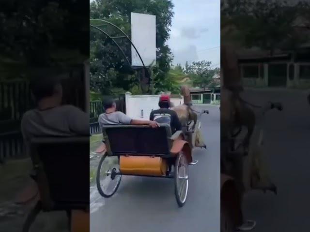 Ternyata Hewan purba ini masih ada guys