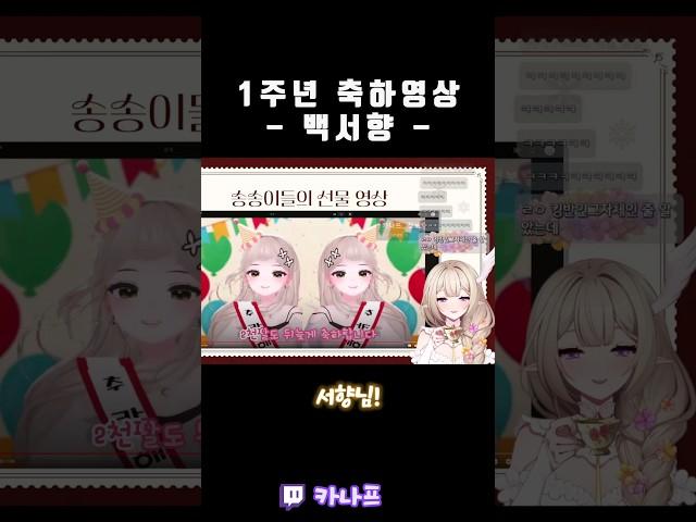 1주년 축전영상 - 백서향- #카나프