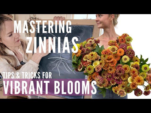 Mastering ZINNIAS: the easiest and most vibrant flowers!