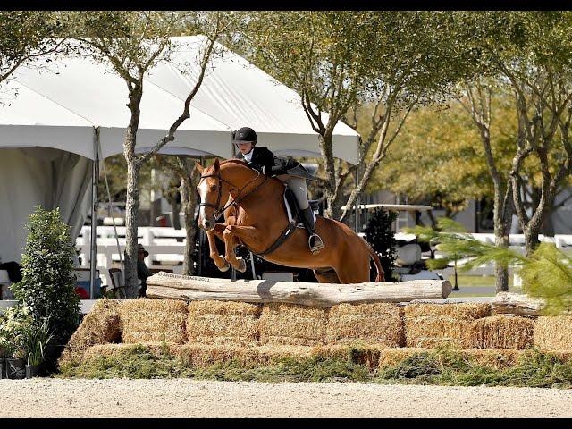 Kumquat De Reve National Hunter Derby score of 89