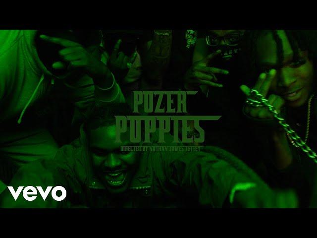 Pozer - Puppies (Official Video)