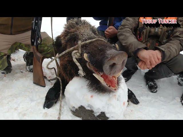 Domuz avı WİLD BOARD HUNTİNG Karadeniz MELETLÜLER Yusuf Tuncer Zafer Yılmaz