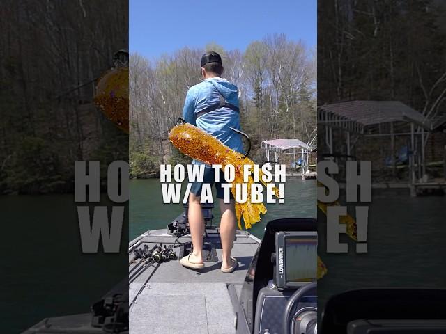 How to Catch BIG Bass on a TUBE! #fishing