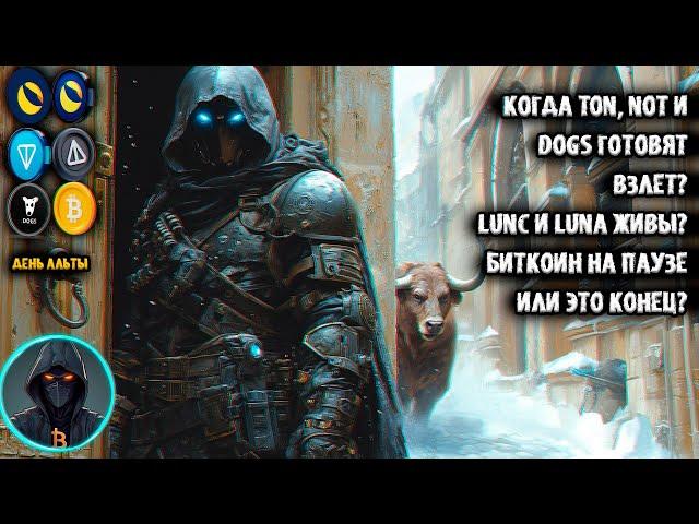 Когда NOT, TON и DOGS готовят взлет? LUNA и LUNC живы? Биткоин на паузе или это конец? BTC Альтсезон