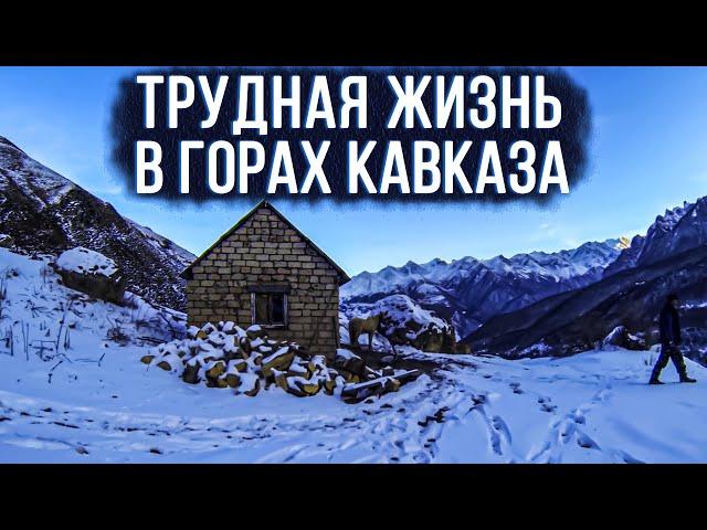 ЗИМНИЙ Поход В ДИКИЕ Горы КАВКАЗА. ЗАШЁЛ В ГОСТИ К ЧАБАНАМ НА 3 ДНЯ. РЕАЛЬНАЯ Жизнь В ГОРАХ.