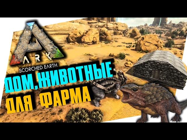 ARK: SCORCHED EARTH - НЕЖАРКИЙ КАМЕННЫЙ ДОМ, ЖИВОТНЫЕ ДЛЯ СТРОИТЕЛЬСТВА