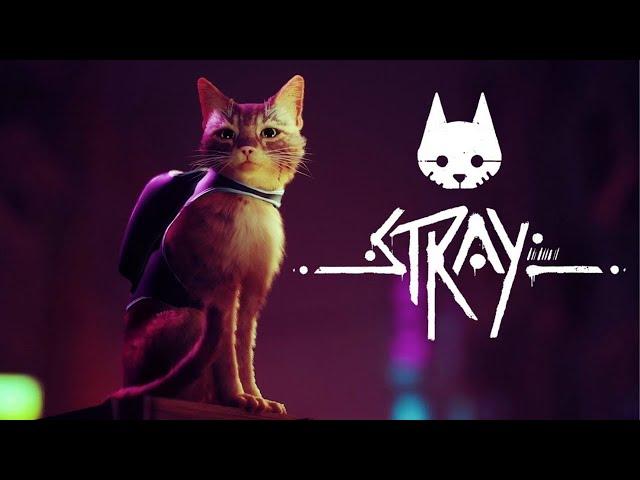 【Stray】ねこちゃん！ #5