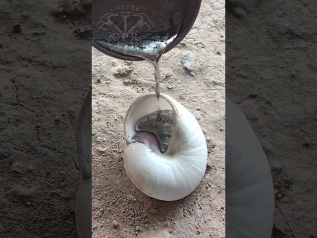 Aluminum Snail Shell: From Scrap to Garden Art #shorts #viralvideo #restoration #metalworking